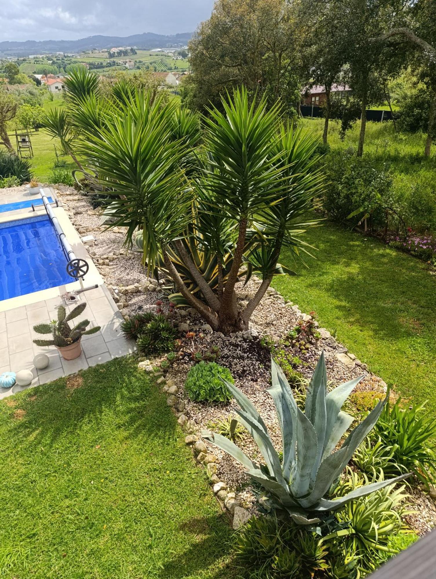Gite Canto Azul Casal da Carreira Экстерьер фото